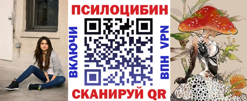 где найти наркотики  blacksprut ТОР  Галлюциногенные грибы Psilocybine cubensis  Нижнеудинск 