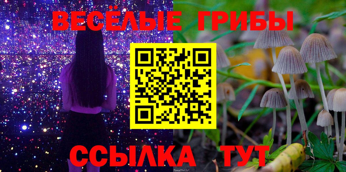 Псилоцибиновые грибы мицелий Нижнеудинск